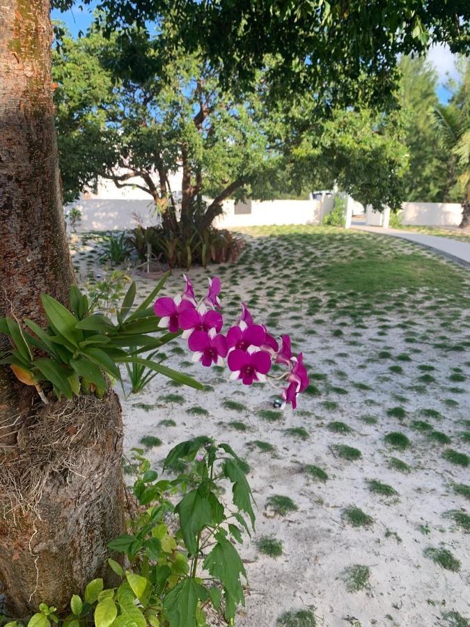 גוברנורס הארבור Gumbo Limbo Home מראה חיצוני תמונה