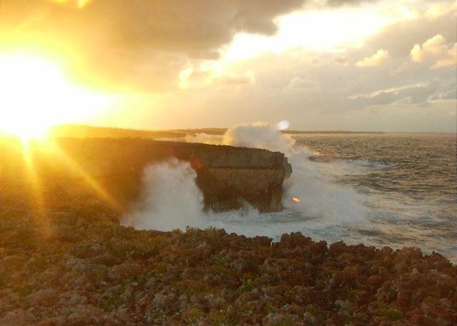 גוברנורס הארבור Gumbo Limbo Home מראה חיצוני תמונה